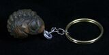 Real Phacops Trilobite Keychain #4721-1